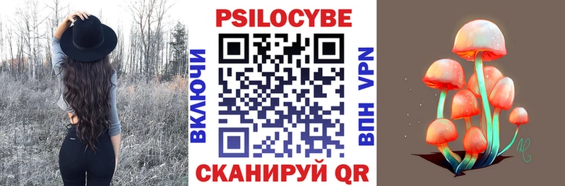 hydra tor  Гороховец  Псилоцибиновые грибы мицелий  купить  сайты 
