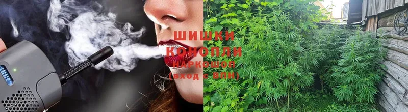 Шишки марихуана Ganja  где можно купить   Гороховец 